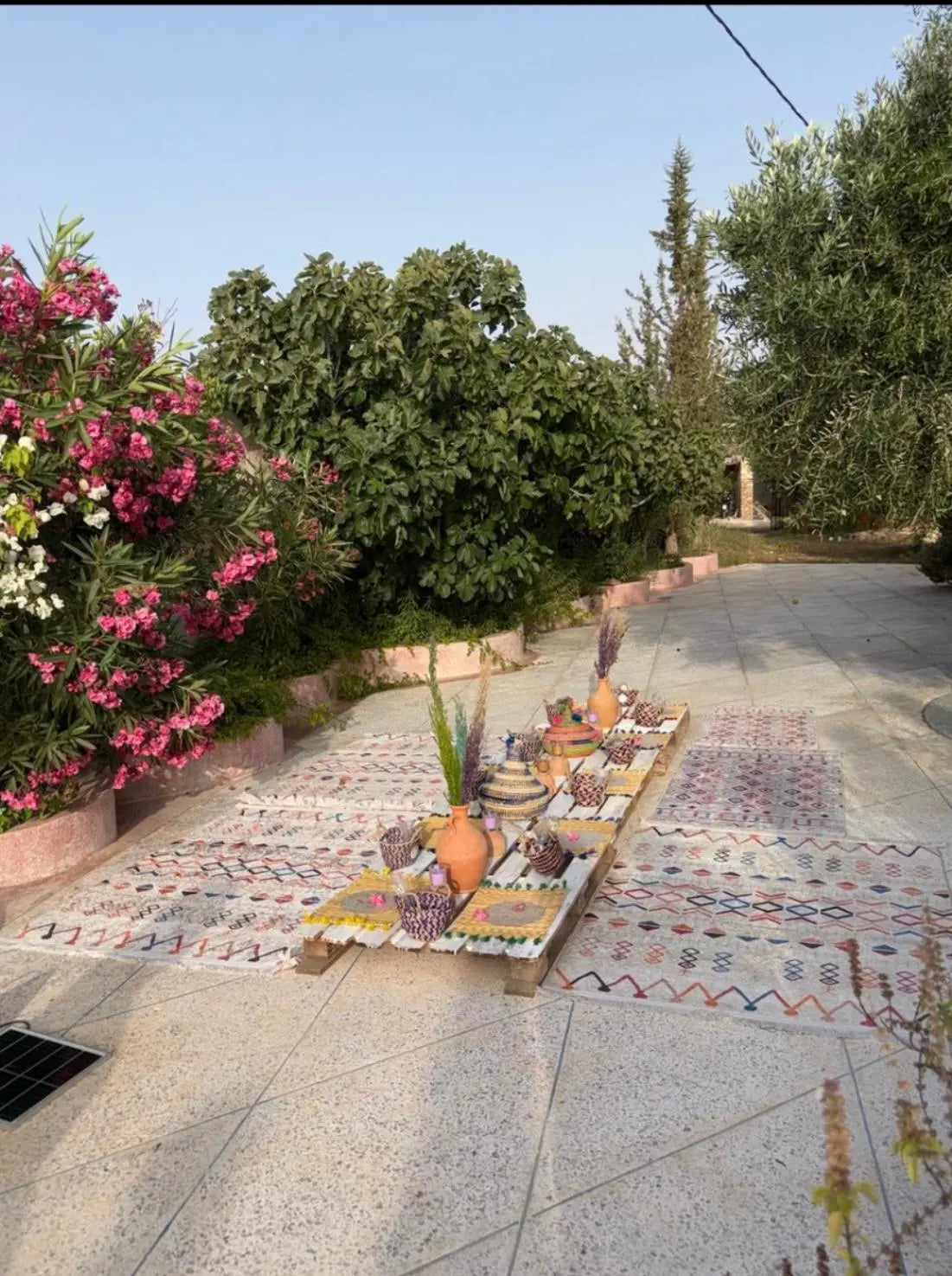 A low Moroccan table prepared in the Dar Cherfa garden